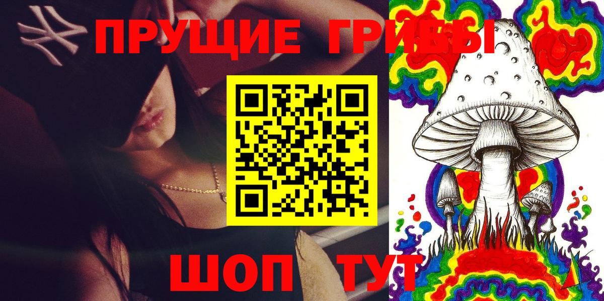 Псилоцибиновые грибы Psilocybe Истра