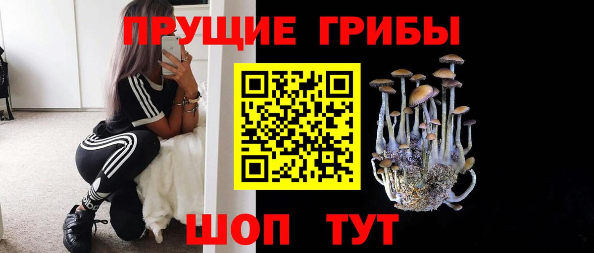 Галлюциногенные грибы GOLDEN TEACHER  как найти закладки  Истра  Вход с VPN  Псилоцибиновые грибы Psilocybine cubensis 