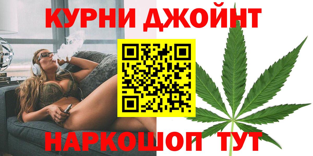 Конопля сатива Истра